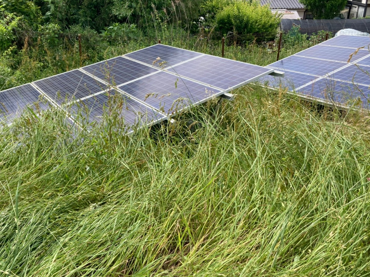 �����ʤ��줿ȯ�Ž�