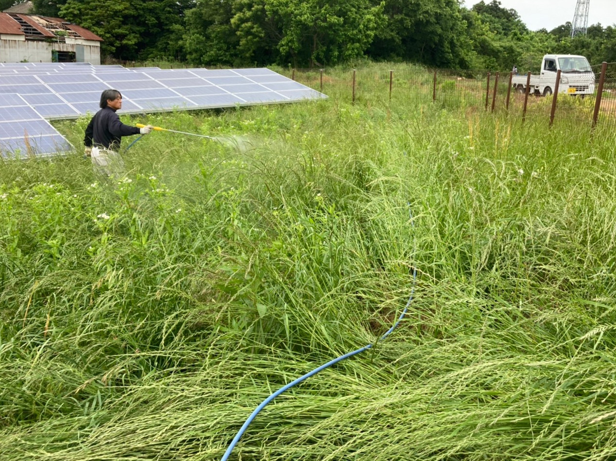 ȯ�Ž�ν�������